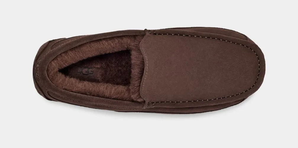 Ascot Suede